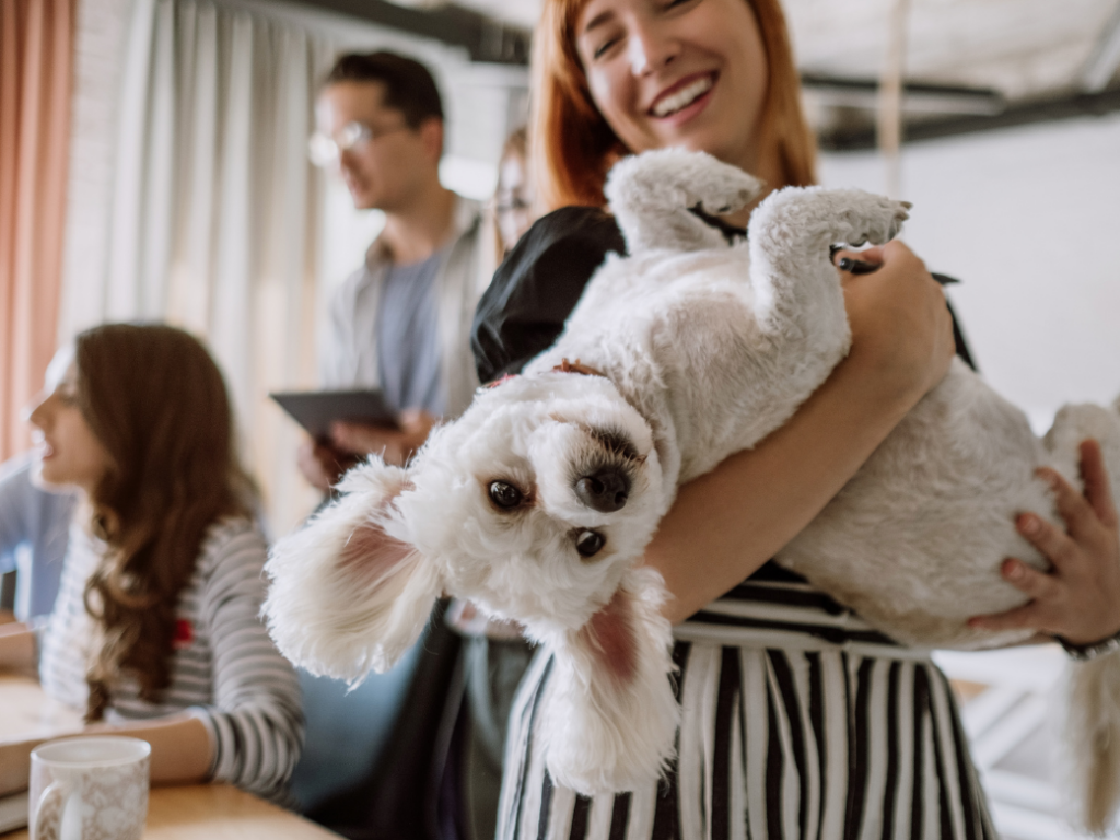 Seguro mascotas: Perro feliz con su dueño 